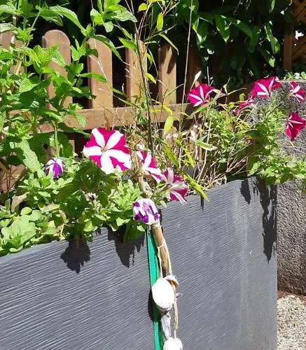 L'escale Honfleuraise * Honfleur