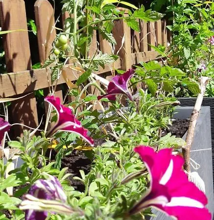 Appartement L'escale Honfleuraise *