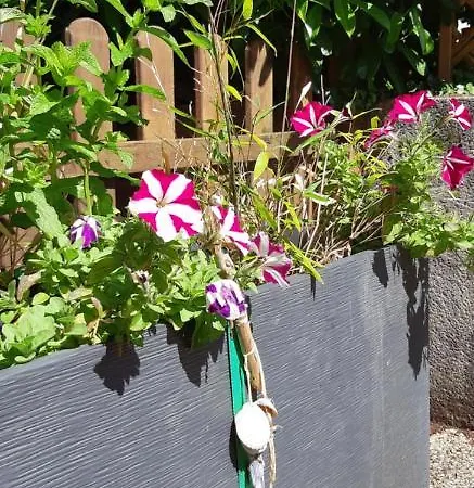 L'escale Honfleuraise * Honfleur