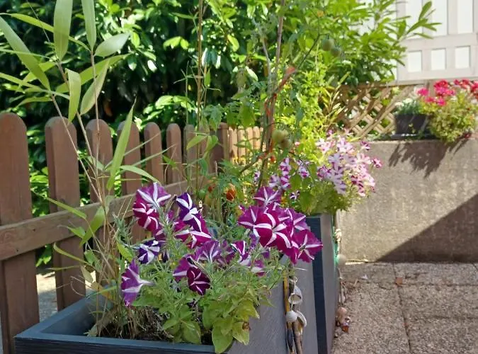 L'escale Honfleuraise Apartamento *